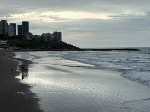 23967bea-c7fd-4920-9d44-f41d9244fb94