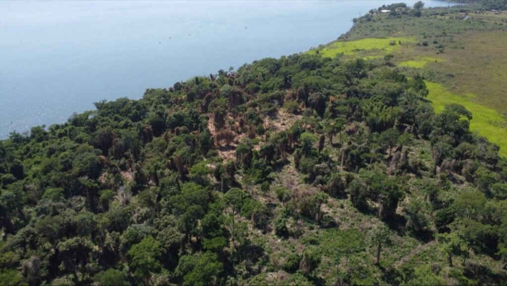 CONTROL-FORESTAL-PORTADA