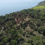 CONTROL-FORESTAL-PORTADA